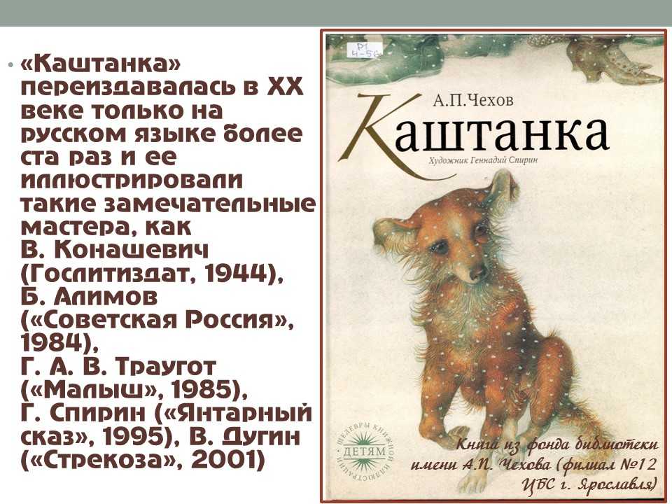 Характеристики главных героев каштанка, чехов. их образы и описание