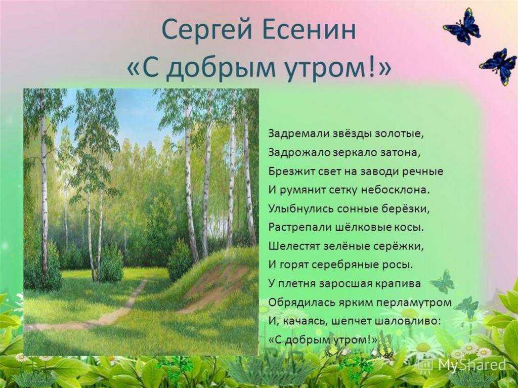 Стихи о россии, родине, природе родного края для детей * поэзия