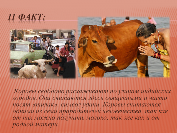 Доклад про страну индия