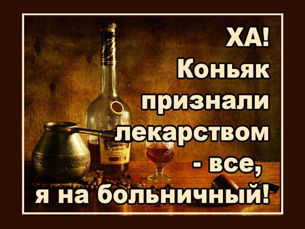 Смешные загадки с ответами для детей и взрослых