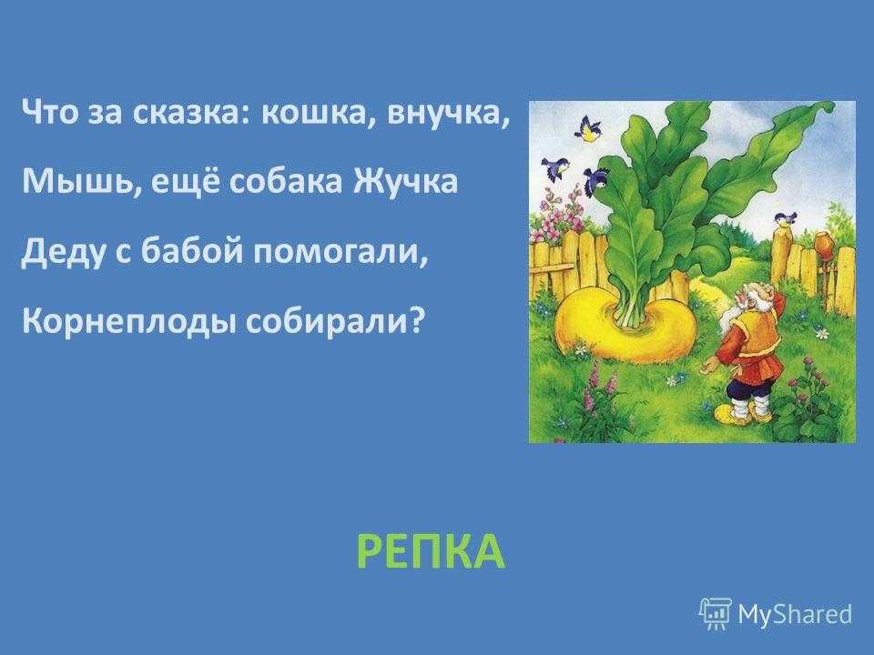 Загадки детям — по возрасту