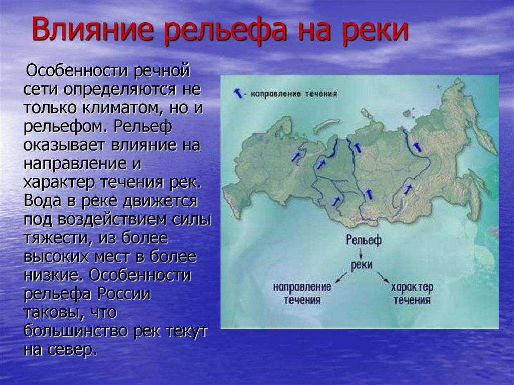 Волга: исток, устье, притоки, бассейн, глубина, история и интересные факты, растения и животные.