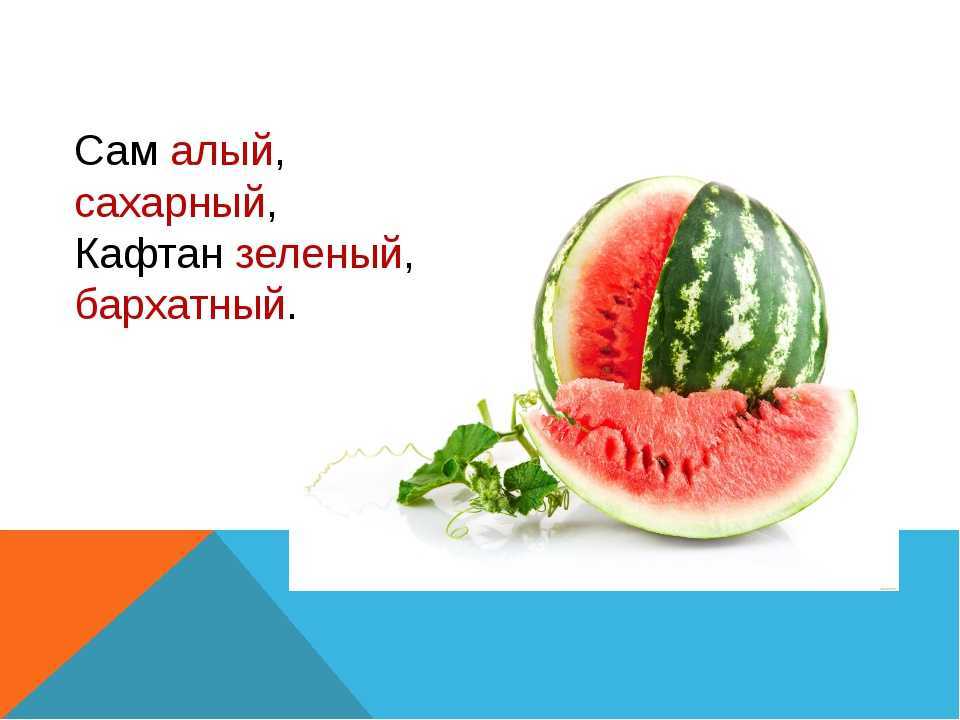 Загадки про арбуз для детей