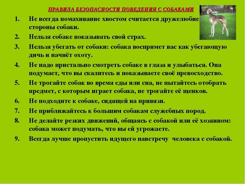 Техника безопасности работы с животными