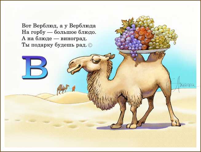 3 сложных загадки на логику