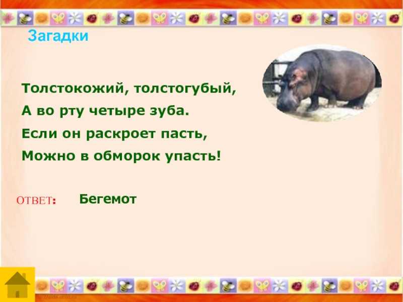 Загадки о диких животных для детей