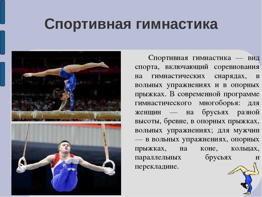 Реферат на тему: гимнастика