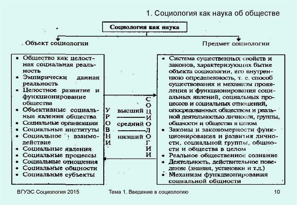 Щйнмнлхвеяйюъ янжхнкнцхъ