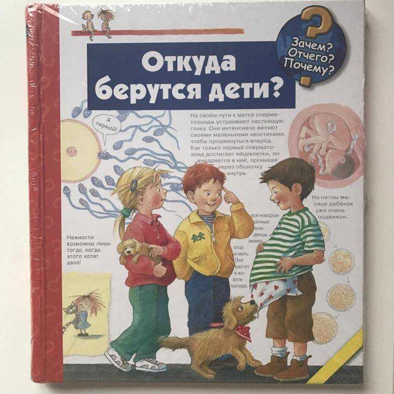 Как объяснить ребенку откуда берутся дети