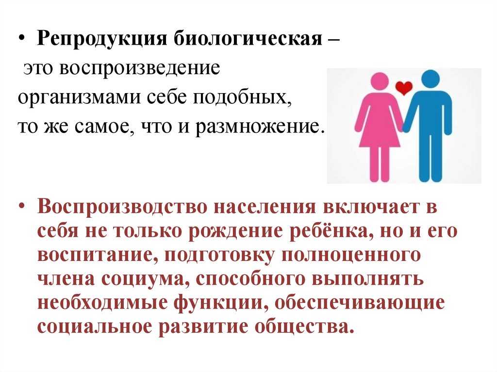 Что такое репродукция в биологии: определение, виды, принципы