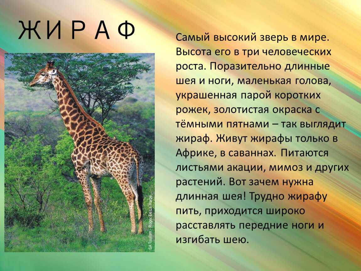 География