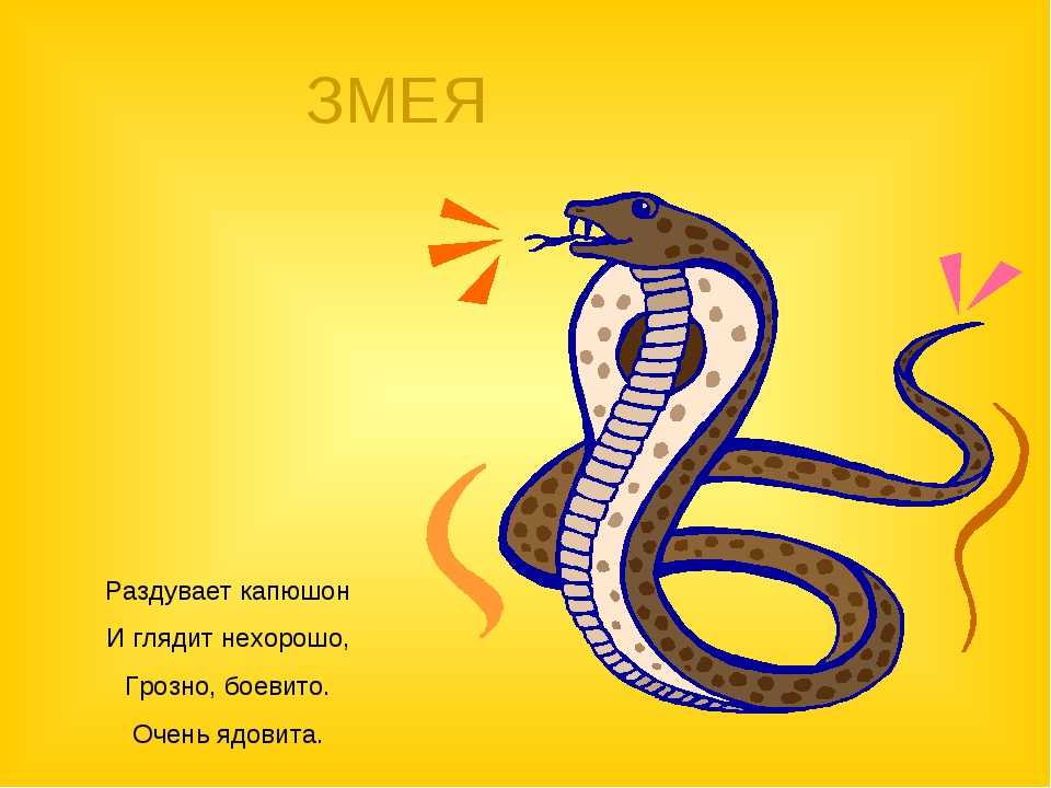 55 загадок для самых маленьких детей с ответами