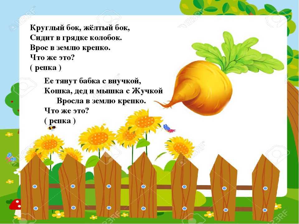Загадки про овощи и фрукты для детей с ответами