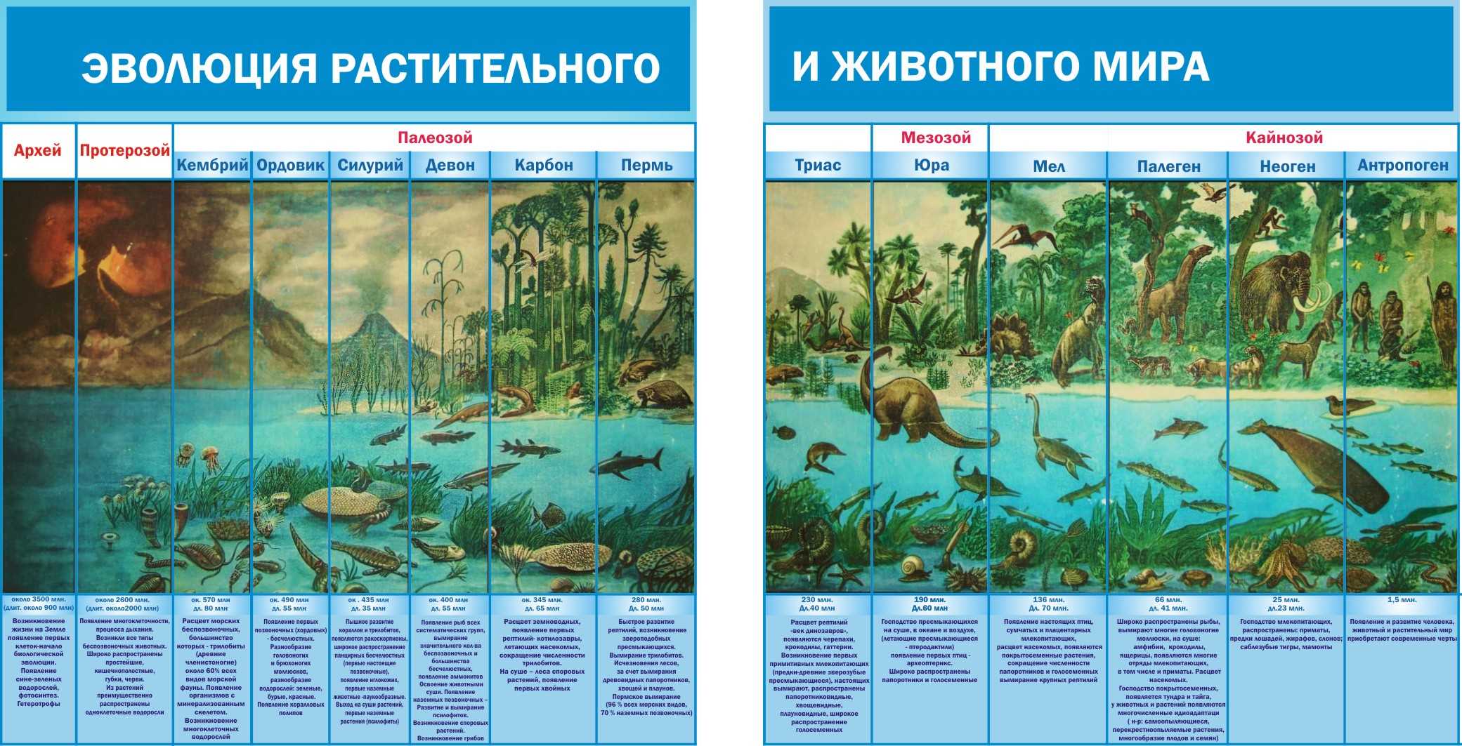 Катархей кратко и понятно