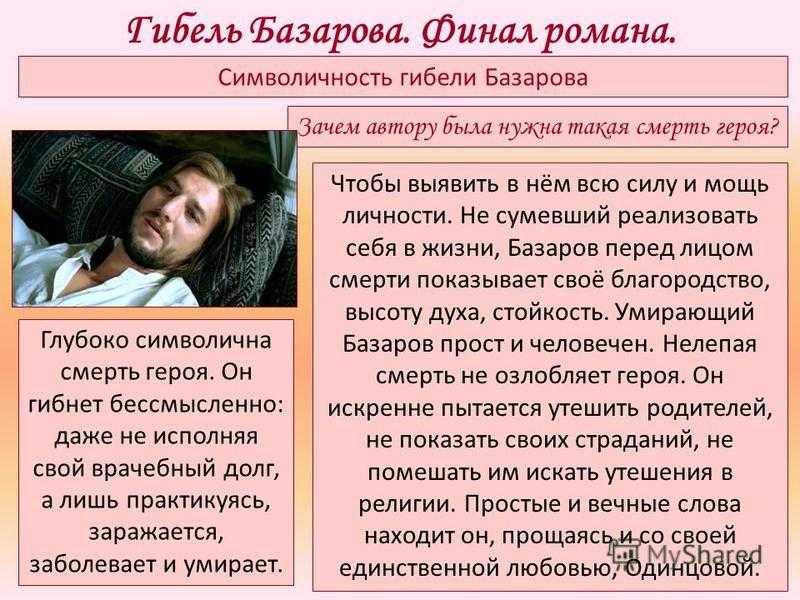 Почему так нелепо поранился и заразился тифом базаров