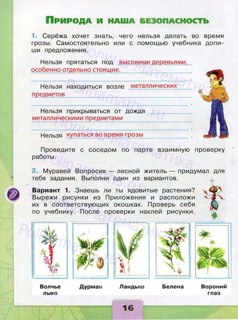 Как составить словесный портрет животного