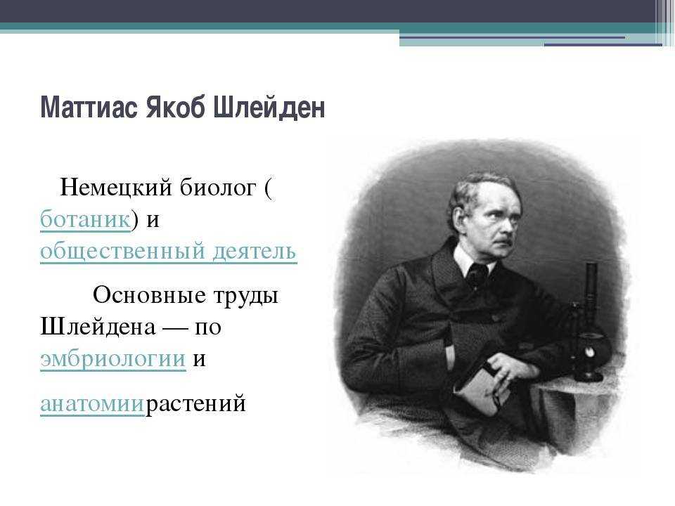 Маттиас шлейден: биография, клеточная теория, вклад - наука - 2023