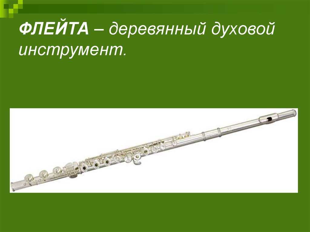 Доклад на тему скрипка 3 класс (интересные факты, история) сообщение