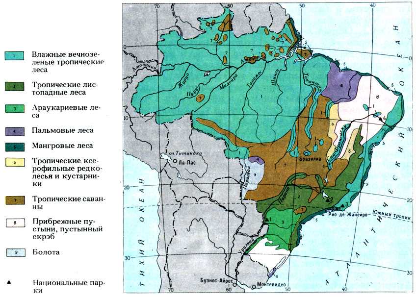 Южная америка: природные зоны, население и страны | 7 класс онлайн