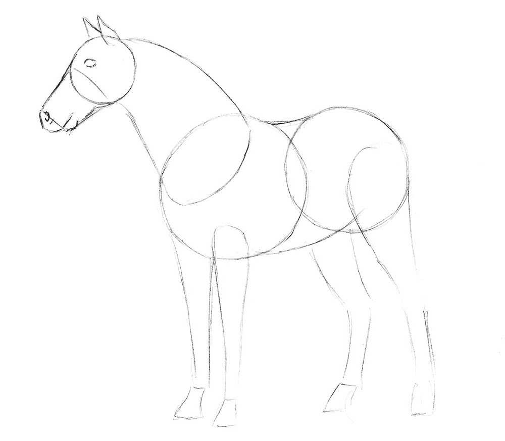 Рисуем лошадь цветными карандашами