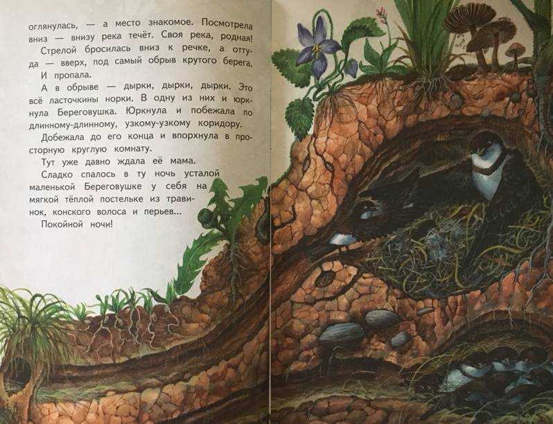 Лесные домишки