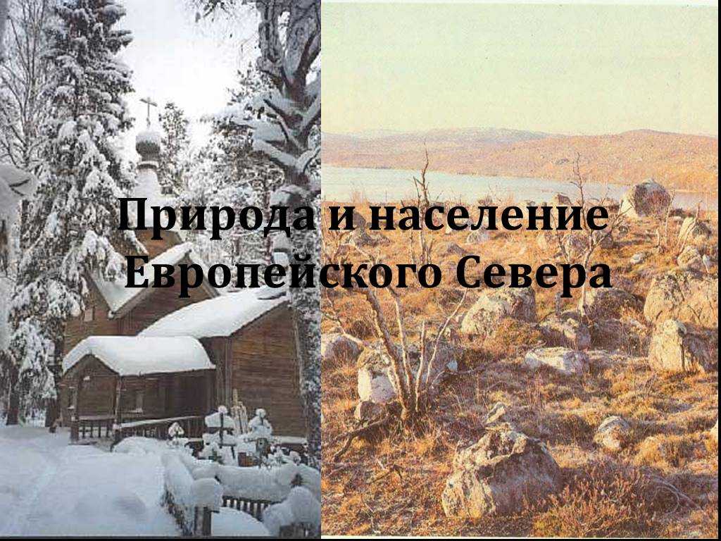 Презентация на тему природа европейского севера