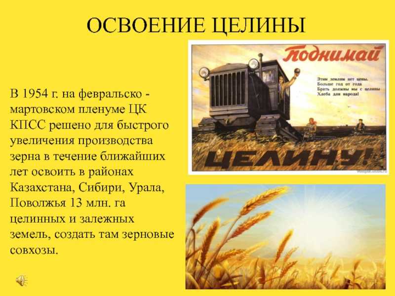 Лингвострановедческий словарь «россия». целина