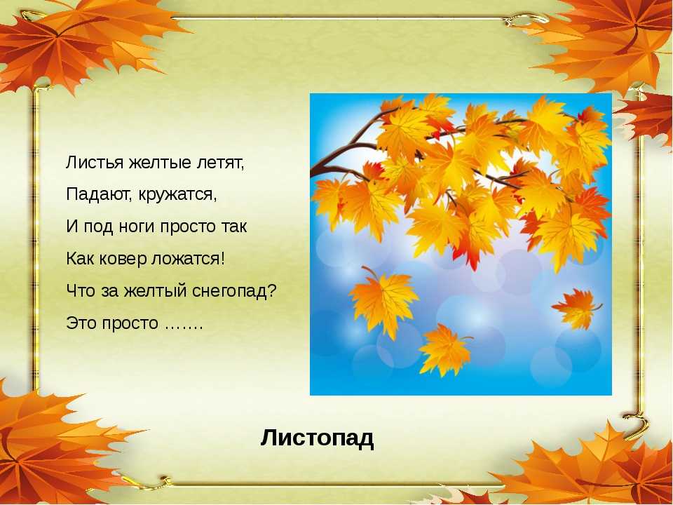 Загадки про времена года