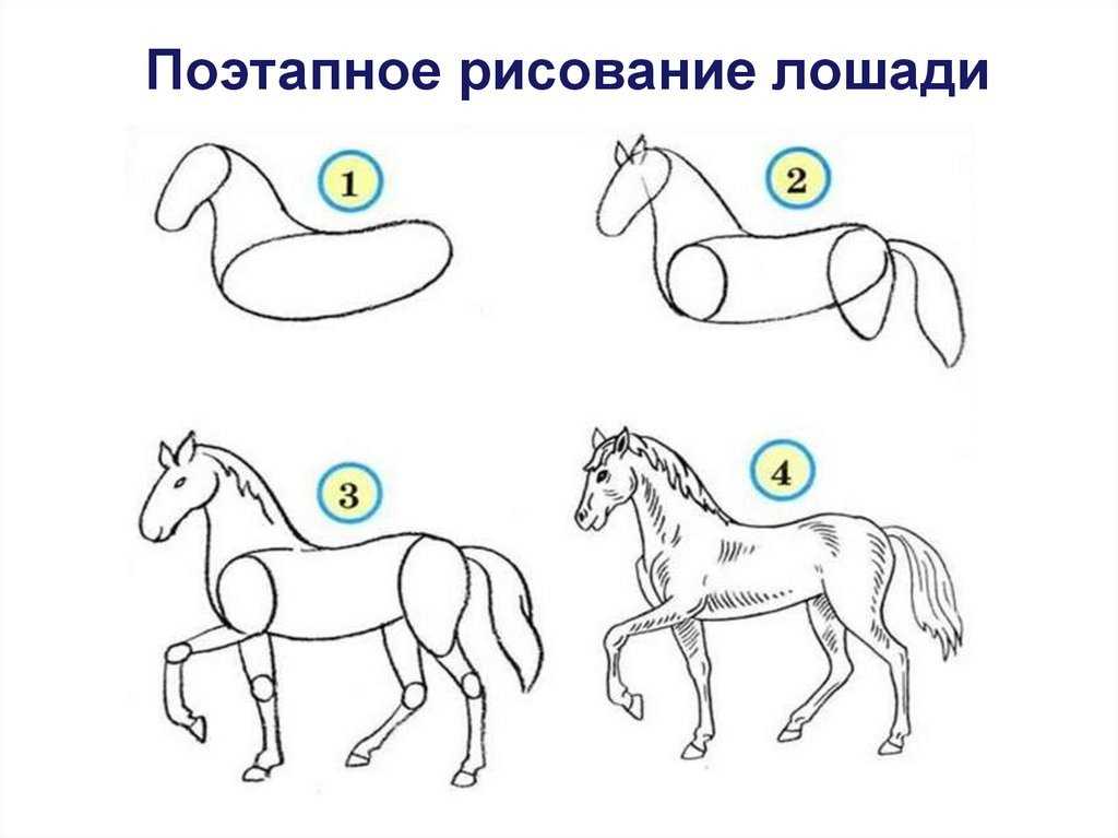 Как нарисовать лошадь Легко и просто с помощью пошаговой инструкции и видеоуроков Хотите нарисовать красивую лошадь или помочь ребенку, тогда рисуйте с удовольствием