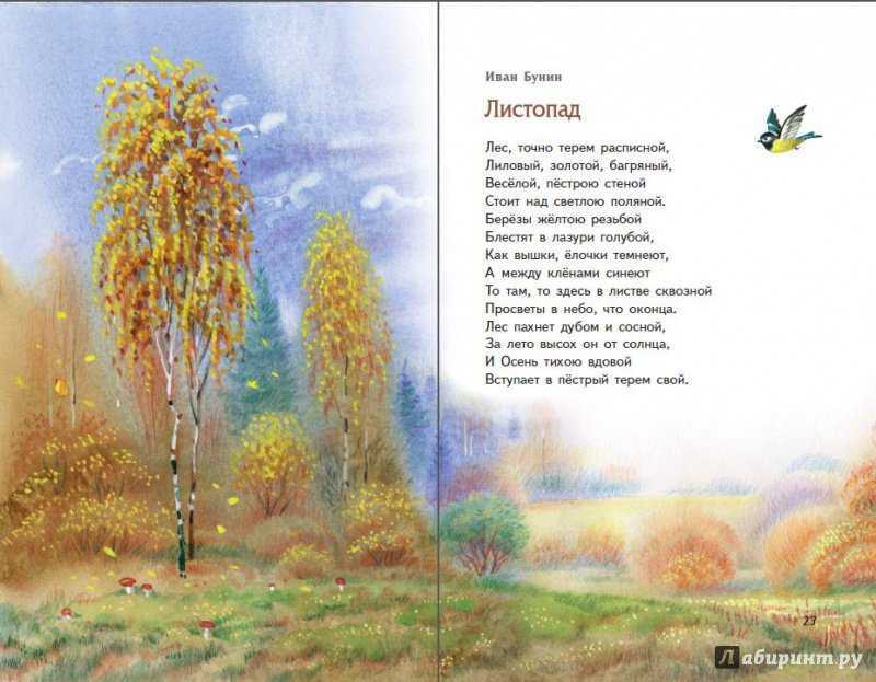 Стихи про октябрь - короткие и красивые стихотворения про месяц октябрь для детей известных русских поэтов - na5.club