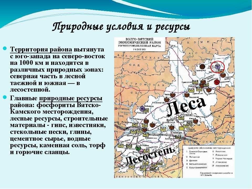 Презентация на тему "волго-вятский экономический район россии" по географии для 9 класса
