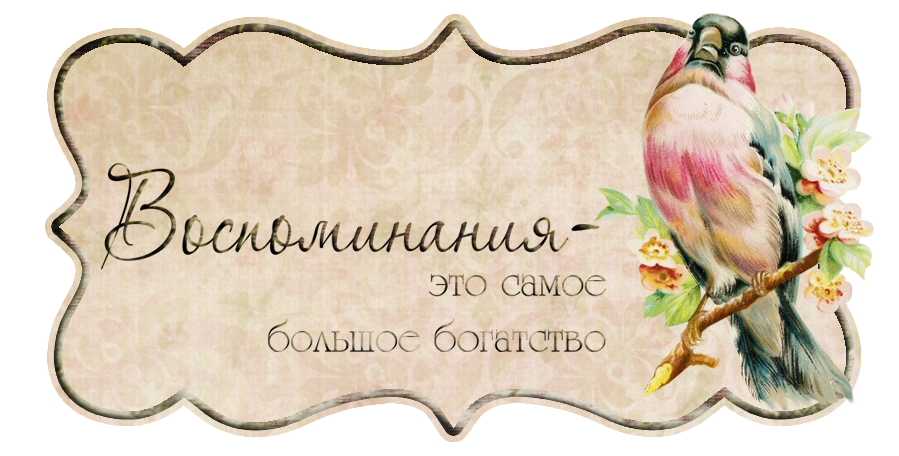 100+ милых и умных подписей для семейного фото