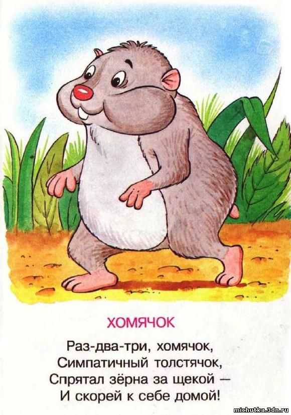Лучшие загадки для детей 5-6 лет с ответами (можно распечатать!)