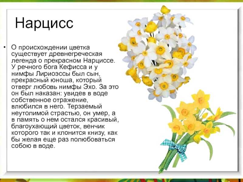 Легенды о растениях