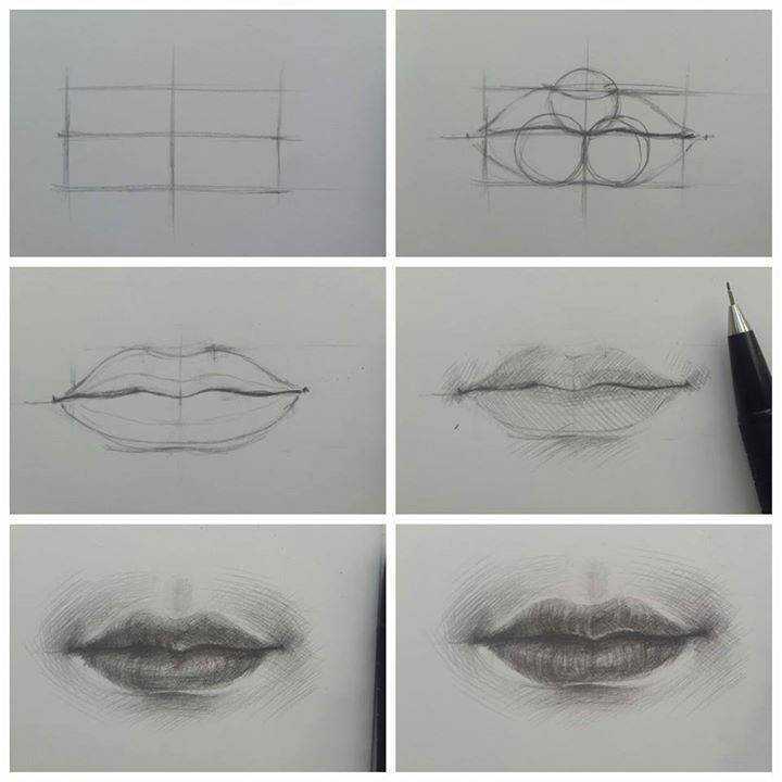 Как нарисовать губы: поэтапно и правильно изобразить карандашом рот девушки для начинающих