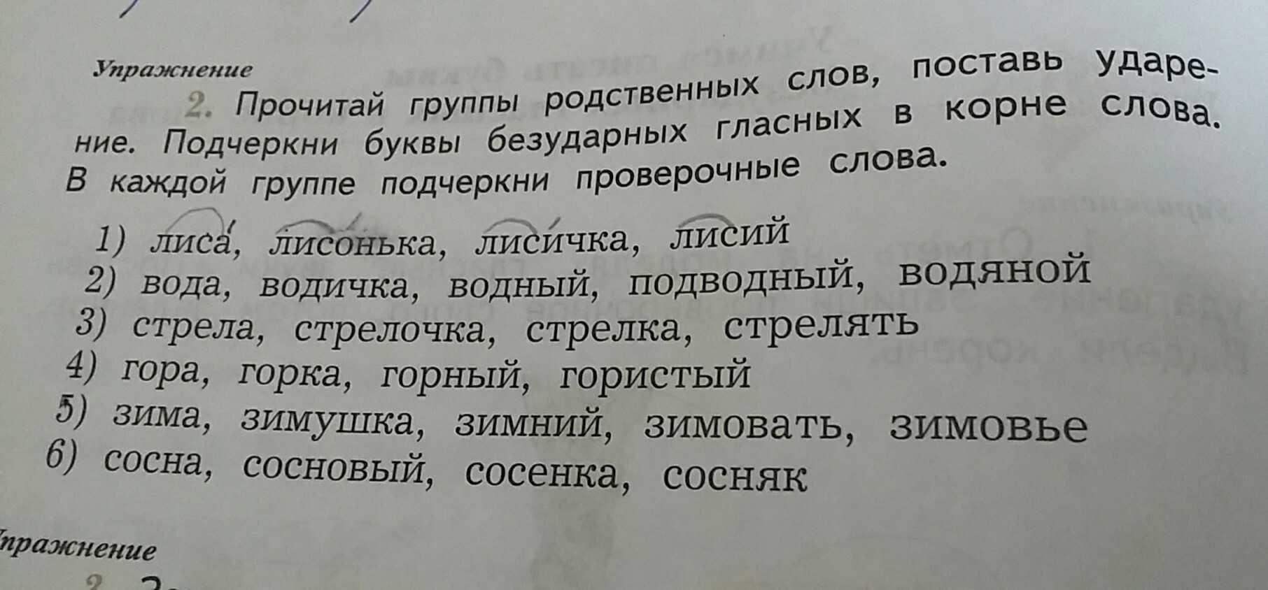 Что такое задача текста в русском языке