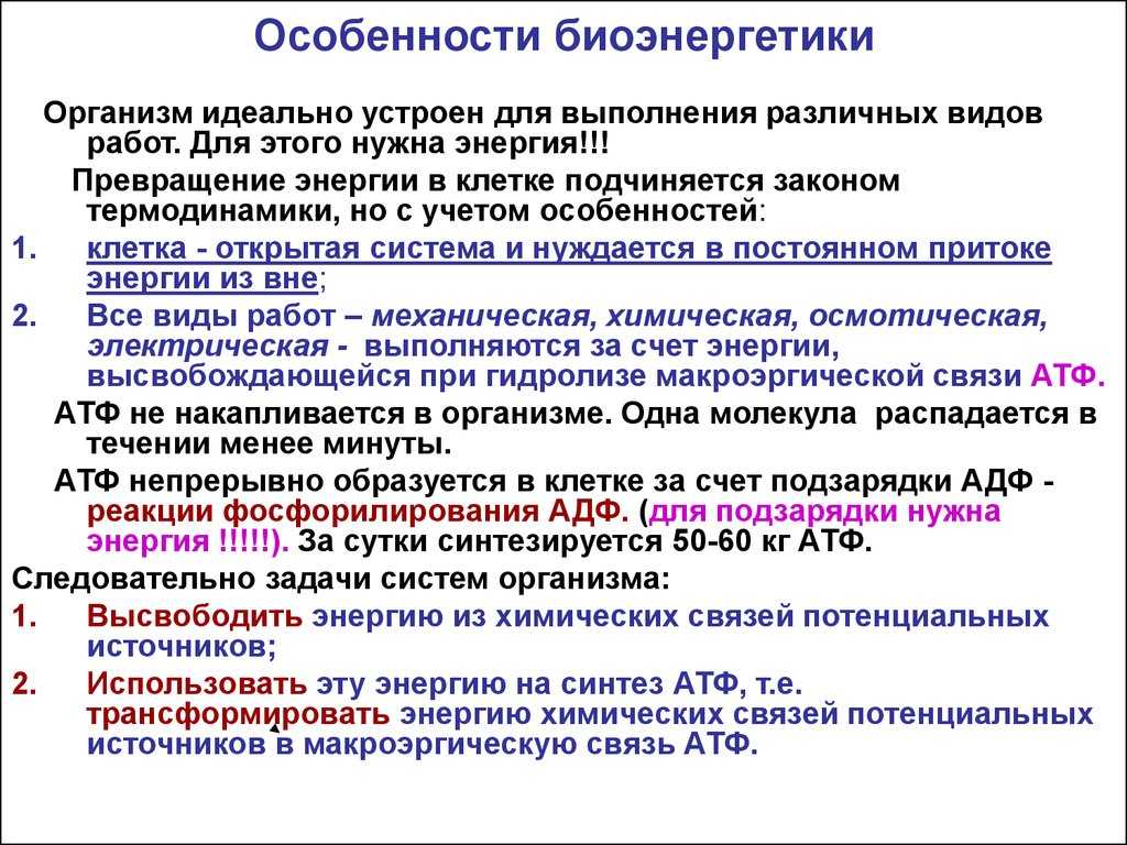 Биоэнергетика: биомасса, топливо, преимущества и недостатки