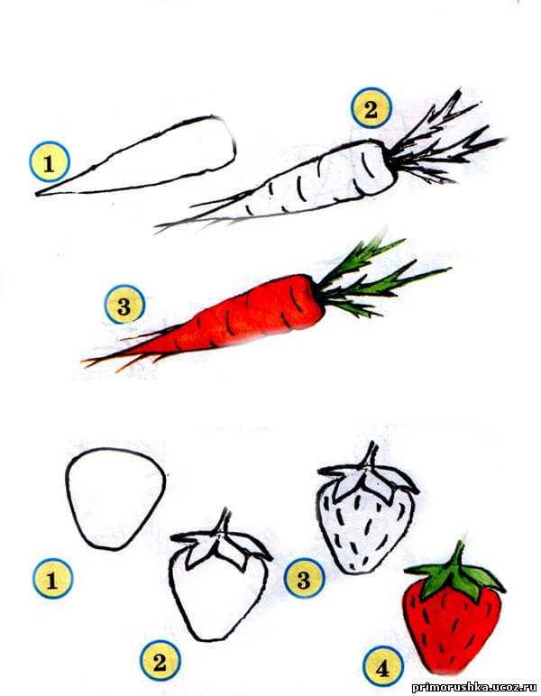 Учимся рисовать с детьми фрукты, овощи и ягоды