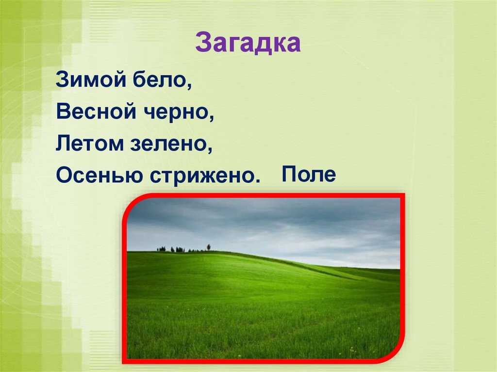 Загадки про земледелие с ответами