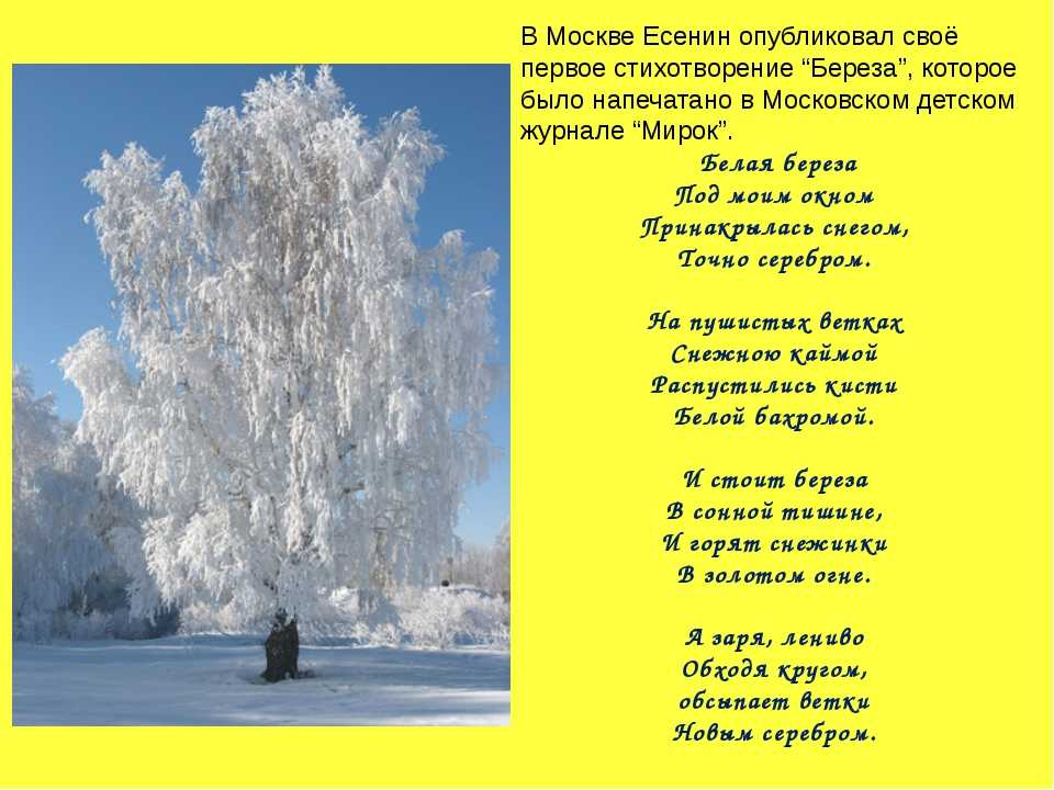 Стихи о родной природе, 2-3-4 класс