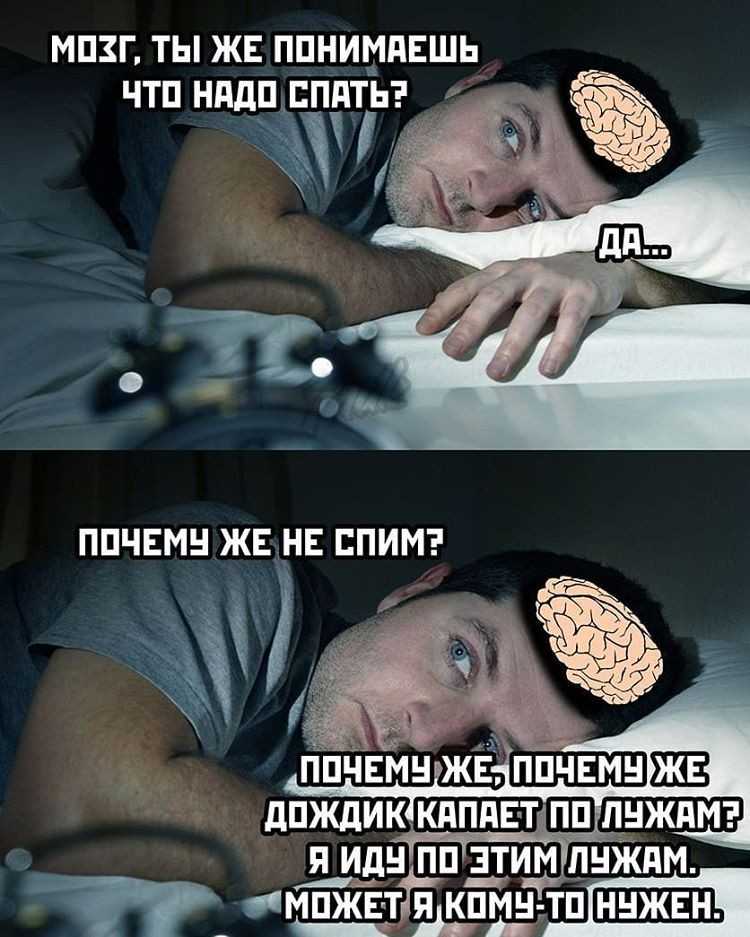 Характеристика спицына в романе дубровский кратко, образ с цитатами героя антона пафнутьича для сочинения в таблице (6 класс)