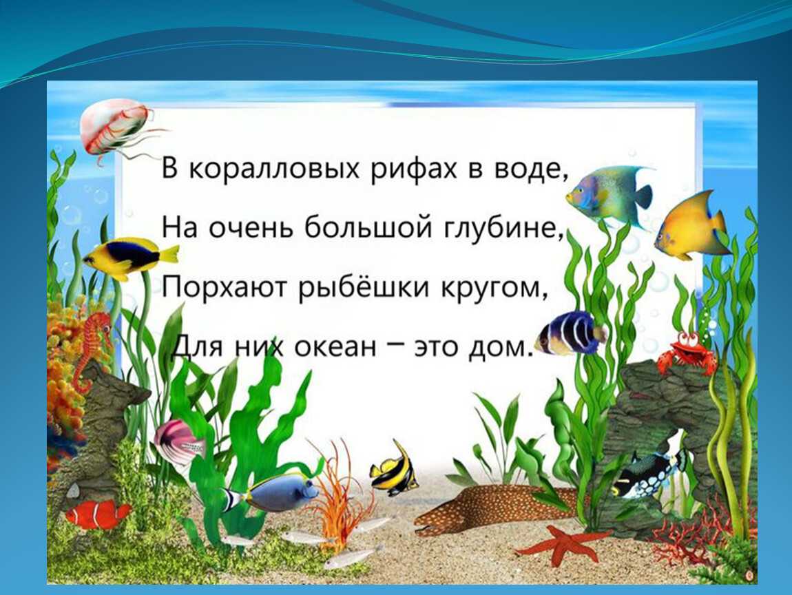 45 интересных фактов про рыб