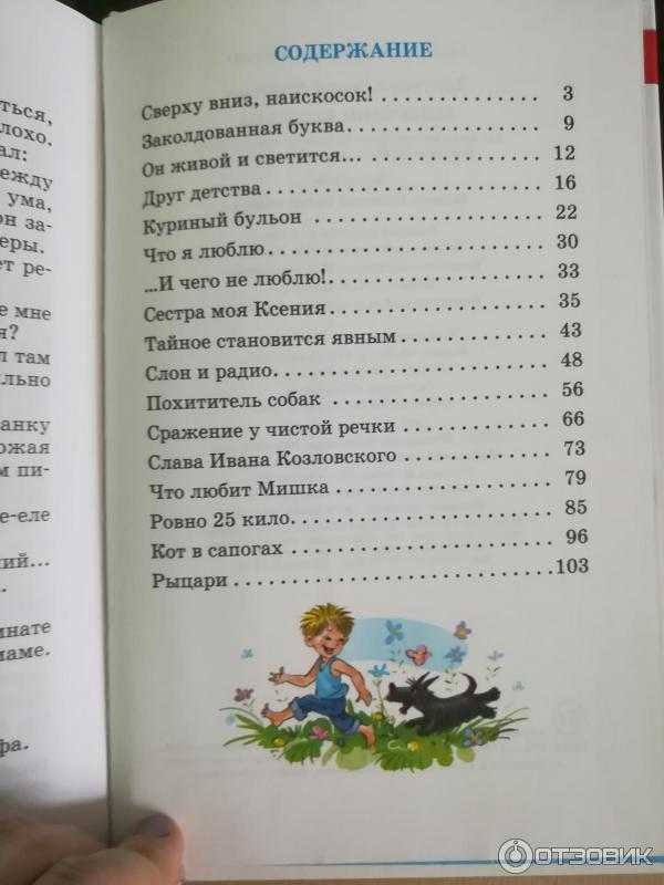 Сражение у чистой речки главная мысль. отзыв о рассказе драгунского «сражение у чистой речки. какие пословицы подходят к рассказу драгунского «сражение у чистой речки»
