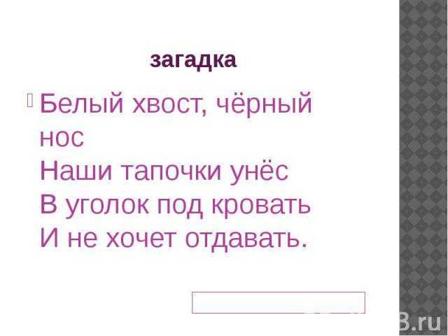 О зубастых и хвостатых – загадки про собак для детей с ответами, сложные и не очень