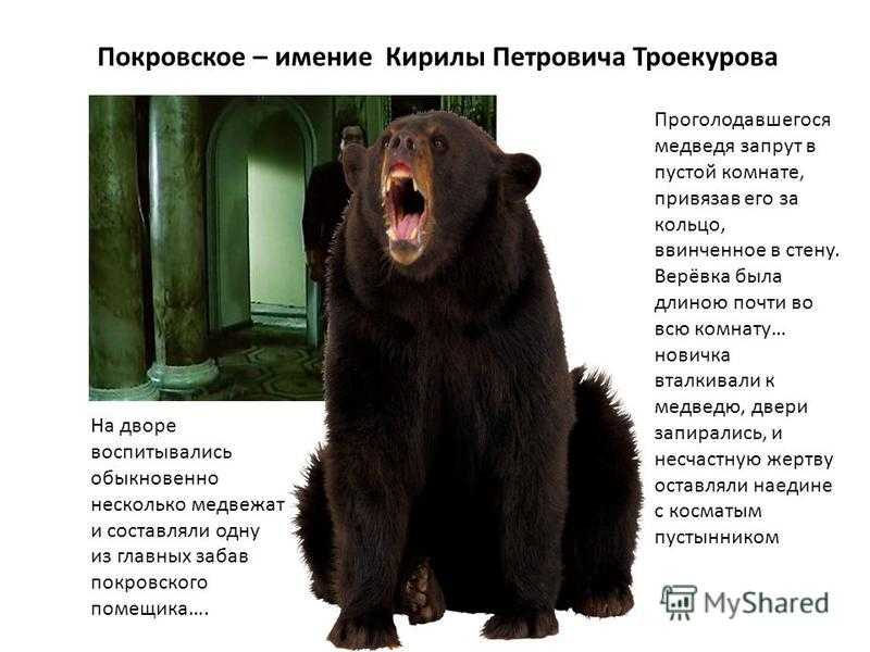 Забавы покровского помещика кратко