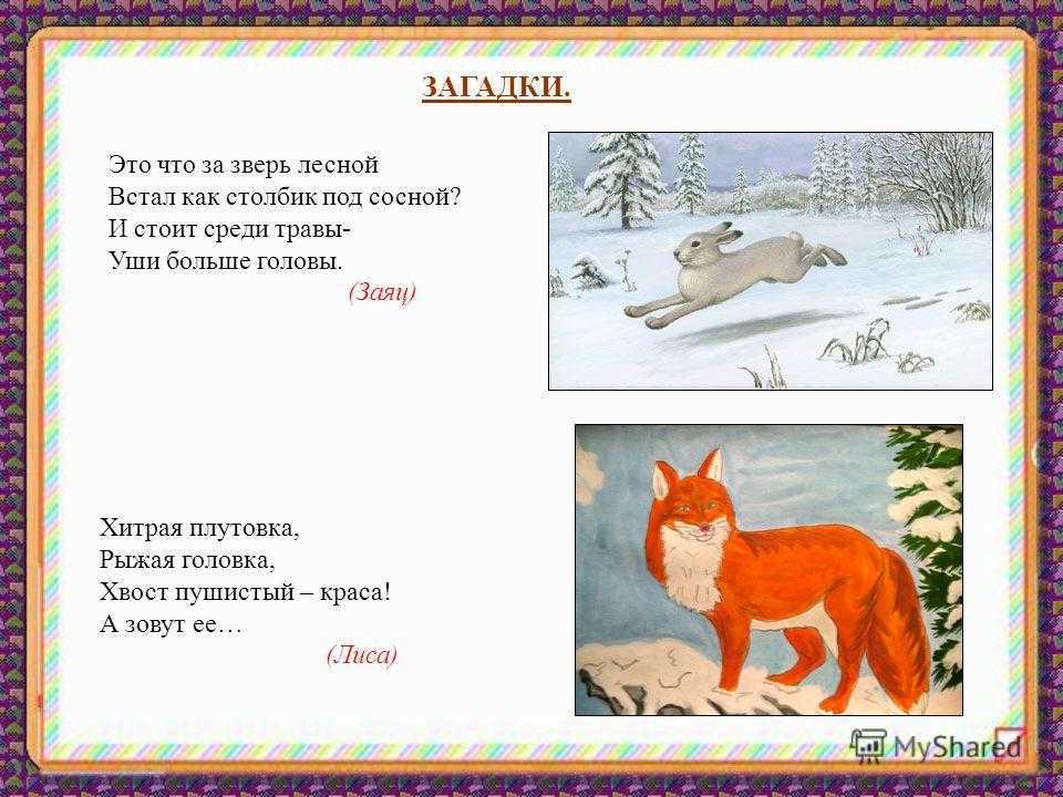 Загадки про животных с ответами | для детей, сложные