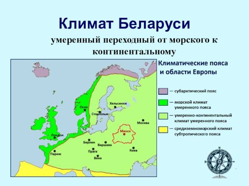 Климат в белоруссии кратко