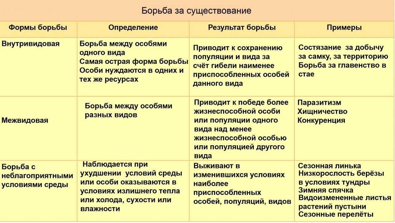 Что такое борьба за существование простыми словами | экология
