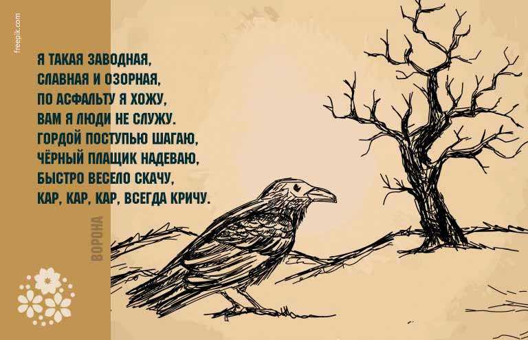 Загадки про птиц для детей с ответами: 235 лучших загадок про домашних, перелетных и зимующих птиц / mama66.ru