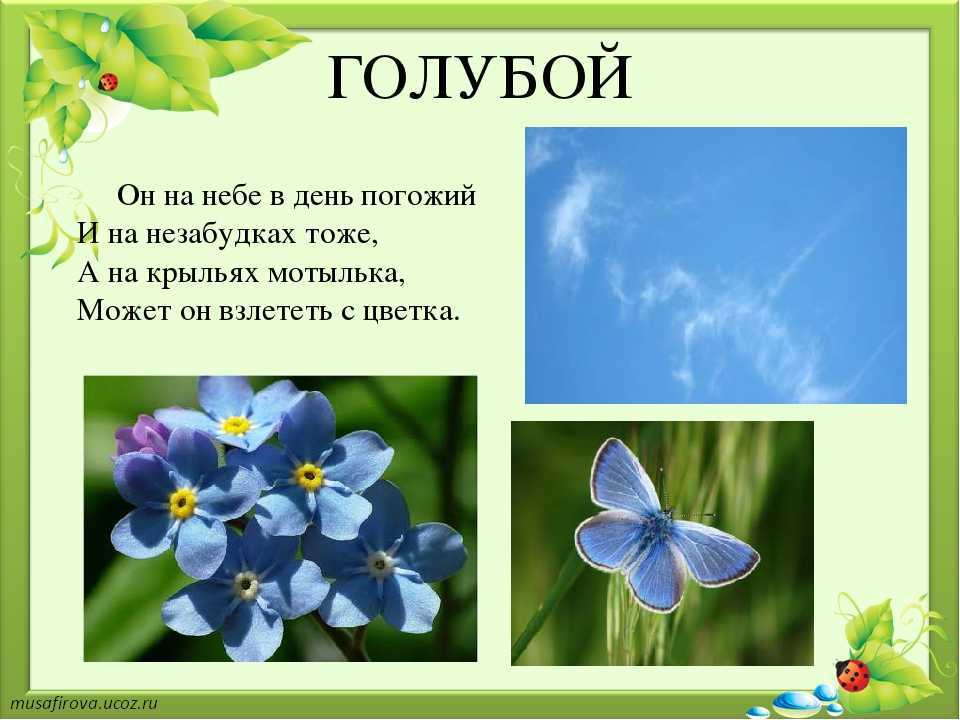 Я обожаю желтый цвет загадка. цветные загадки. несколько интересных детских загадок
